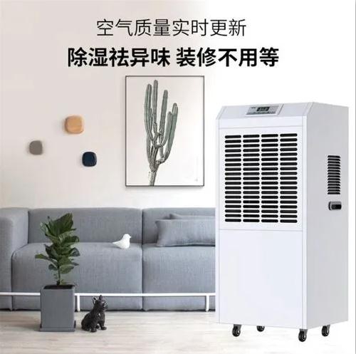 夏季，如何有效去除濕氣