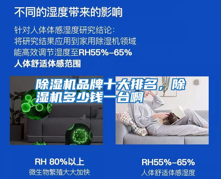 除濕機(jī)品牌十大排名，除濕機(jī)多少錢一臺啊