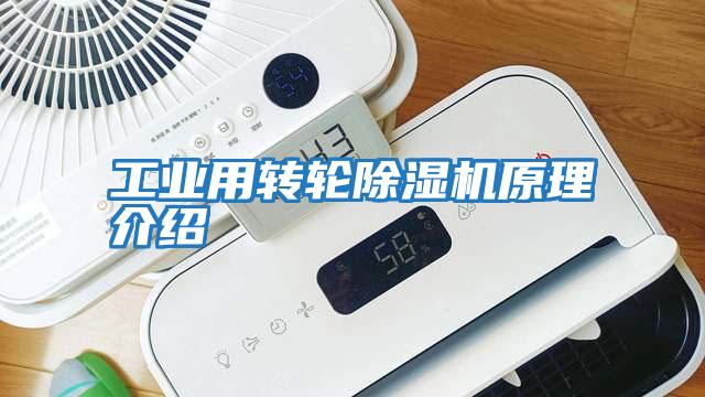 工業(yè)用轉(zhuǎn)輪除濕機原理介紹