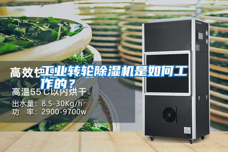 工業(yè)轉(zhuǎn)輪除濕機(jī)是如何工作的？