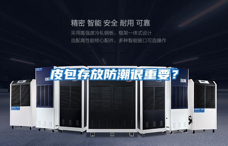 皮包存放防潮很重要？