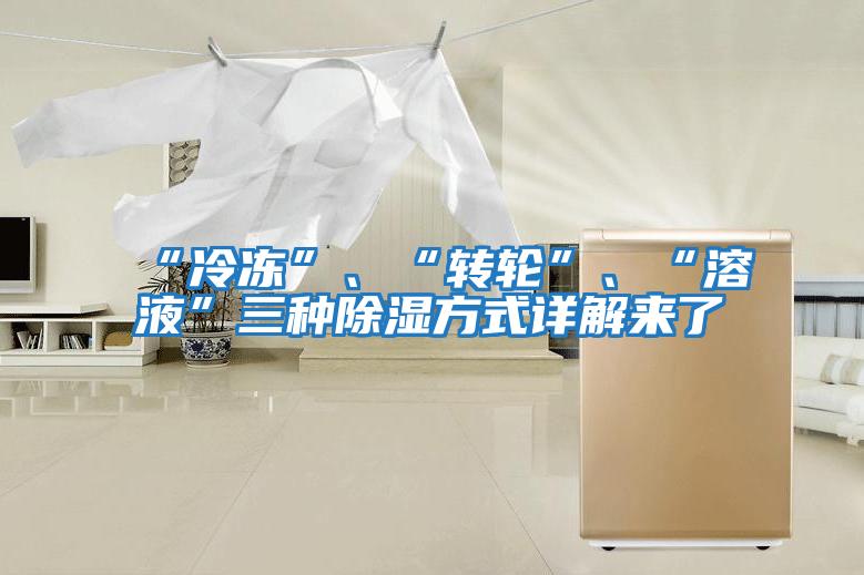 “冷凍”、“轉(zhuǎn)輪”、“溶液”三種除濕方式詳解來了
