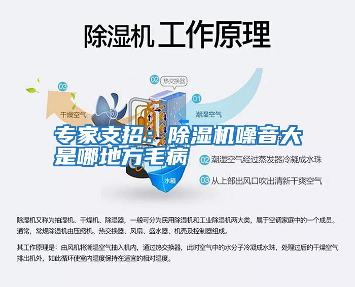 專家支招:除濕機(jī)噪音大是哪地方毛病