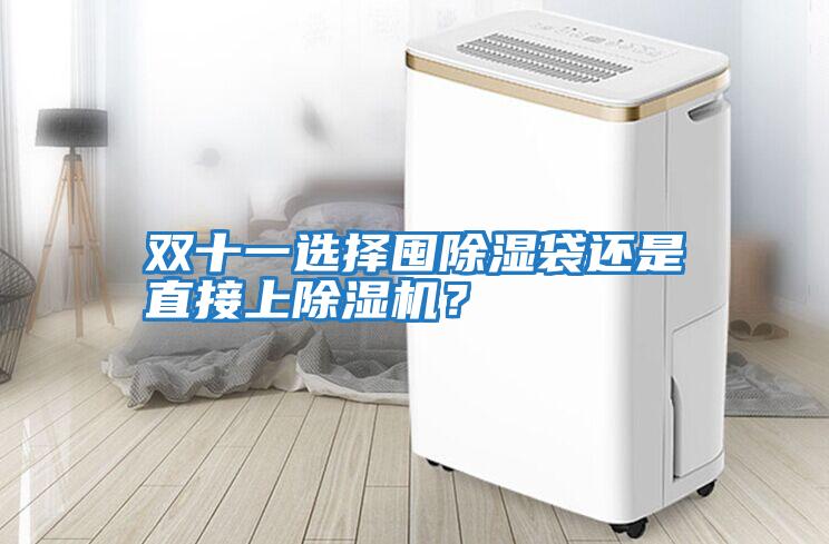 雙十一選擇囤除濕袋還是直接上除濕機(jī)？