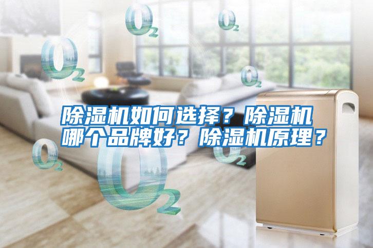 除濕機如何選擇?除濕機哪個品牌好?除濕機原理?