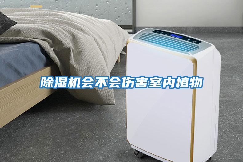 除濕機會不會傷害室內植物