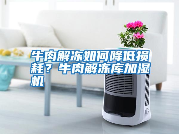 牛肉解凍如何降低損耗？牛肉解凍庫加濕機