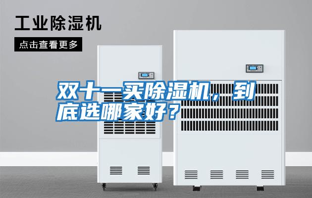 雙十一買除濕機(jī)，到底選哪家好？