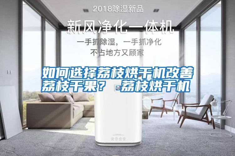 如何選擇荔枝烘干機(jī)改善荔枝干果？ 荔枝烘干機(jī)