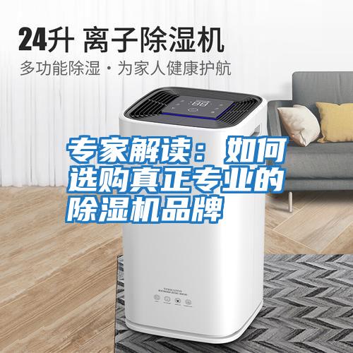 專家解讀:如何選購真正專業(yè)的除濕機(jī)品牌