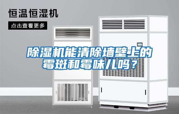除濕機能清除墻壁上的霉斑和霉味兒嗎？