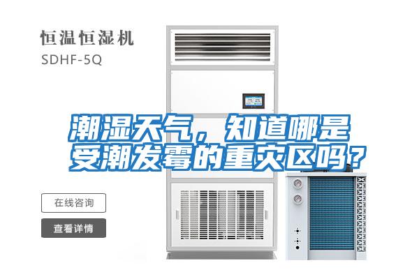 潮濕天氣，知道哪是受潮發霉的重災區嗎？