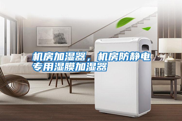 機(jī)房加濕器，機(jī)房防靜電專用濕膜加濕器