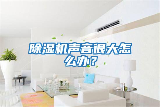 除濕機(jī)聲音很大怎么辦？