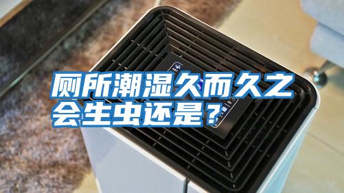 廁所潮濕久而久之會生蟲還是？