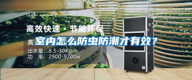 室內怎么防蟲防潮才有效？