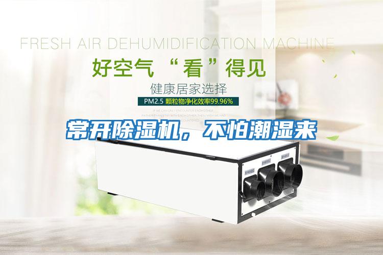 常開除濕機，不怕潮濕來