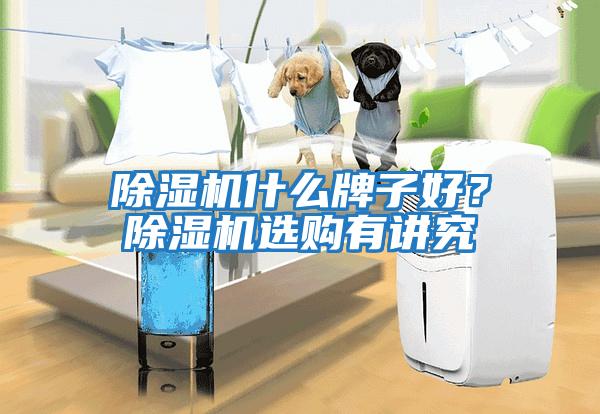 除濕機什么牌子好？除濕機選購有講究