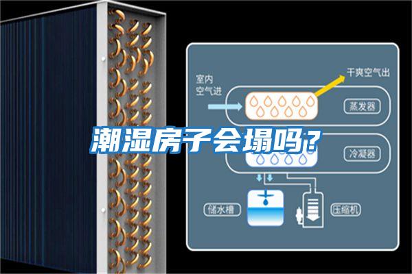 潮濕房子會塌嗎？