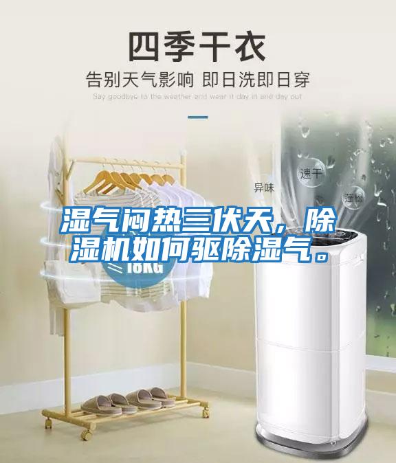 濕氣悶熱三伏天，除濕機如何驅(qū)除濕氣。