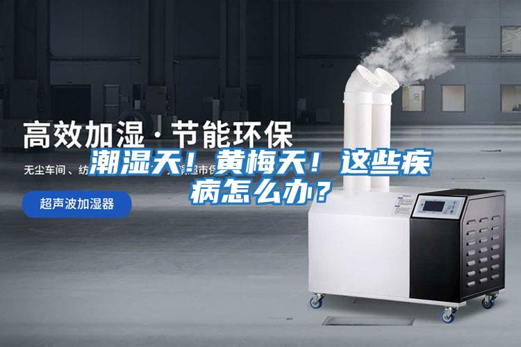 潮濕天！黃梅天！這些疾病怎么辦？