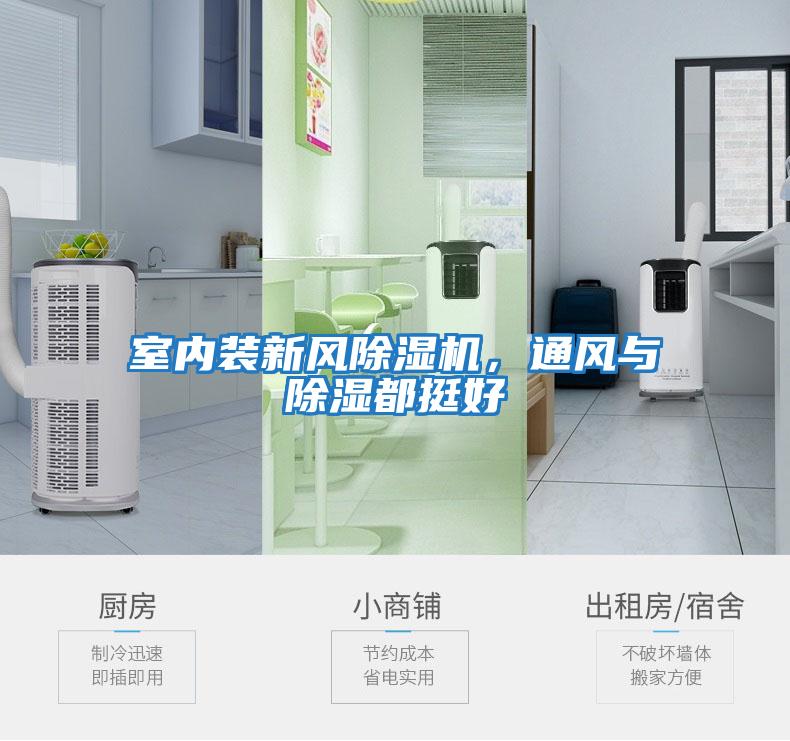 室內(nèi)裝新風除濕機，通風與除濕都挺好