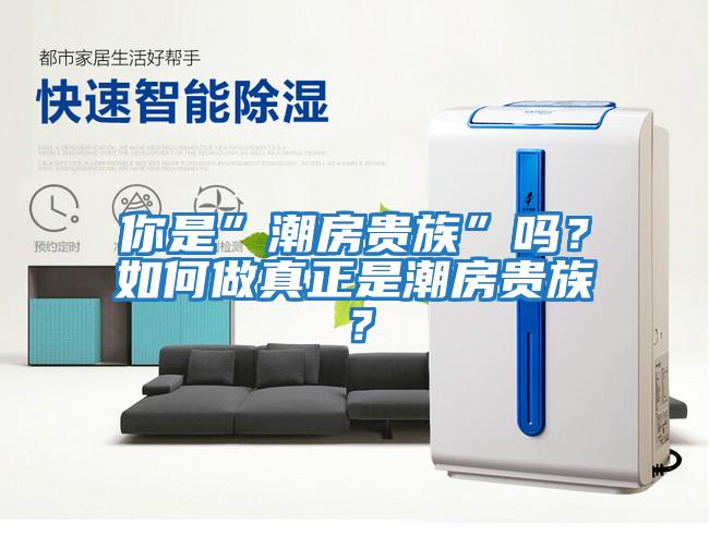 你是”潮房貴族”嗎？如何做真正是潮房貴族？