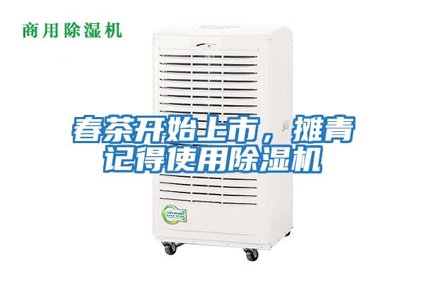 春茶開始上市，攤青記得使用除濕機