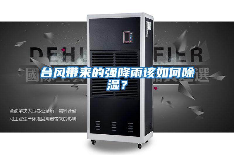 臺風(fēng)帶來的強(qiáng)降雨該如何除濕？