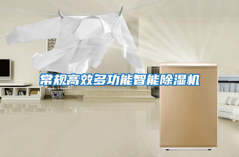 常規高效多功能智能除濕機