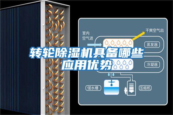 轉輪除濕機具備哪些應用優(yōu)勢
