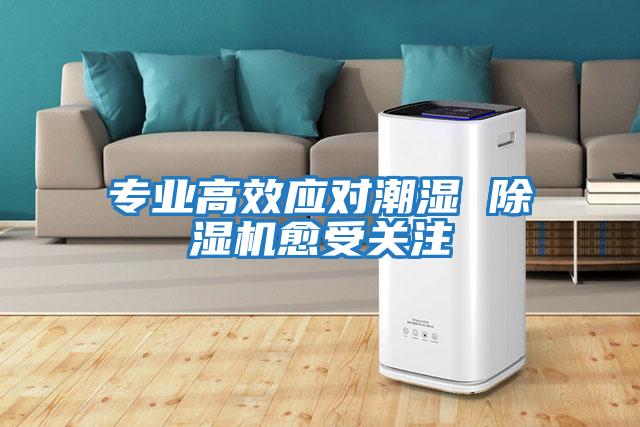 專業(yè)高效應對潮濕 除濕機愈受關注