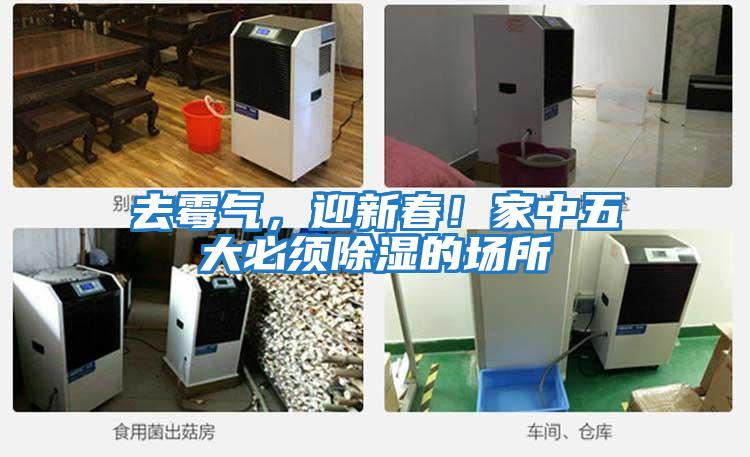 去霉氣，迎新春！家中五大必須除濕的場所