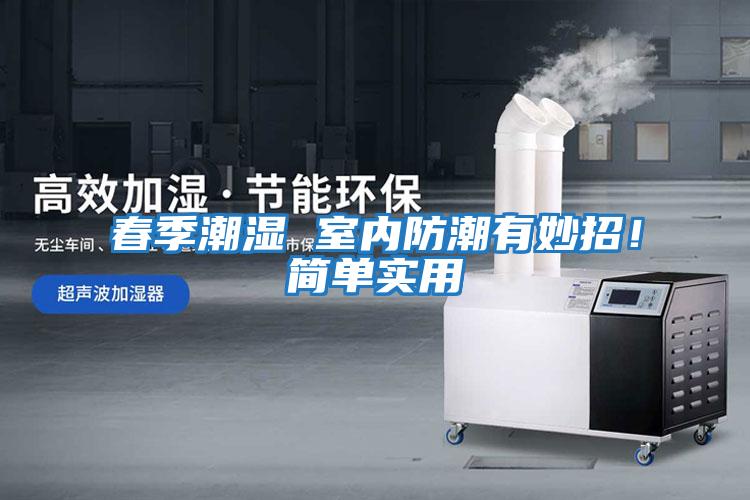 春季潮濕 室內(nèi)防潮有妙招！簡單實(shí)用