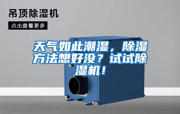 天氣如此潮濕，除濕方法想好沒(méi)？試試除濕機(jī)！