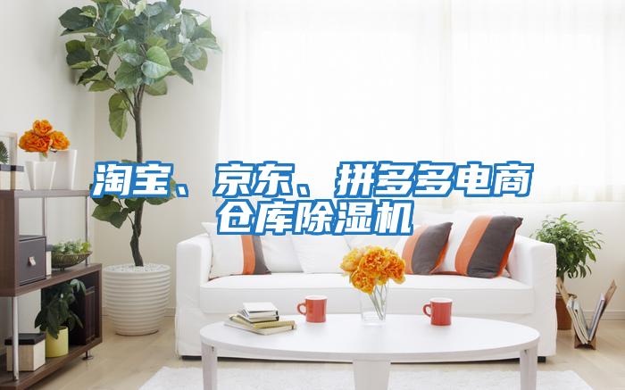 淘寶、京東、拼多多電商倉庫除濕機(jī)