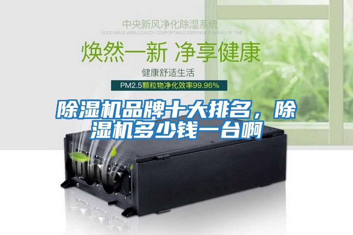 除濕機(jī)品牌十大排名，除濕機(jī)多少錢(qián)一臺(tái)啊