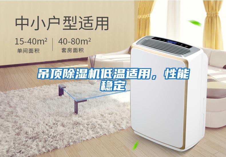 吊頂除濕機低溫適用，性能穩(wěn)定