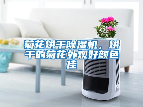 菊花烘干除濕機(jī)，烘干的菊花外觀好顏色佳