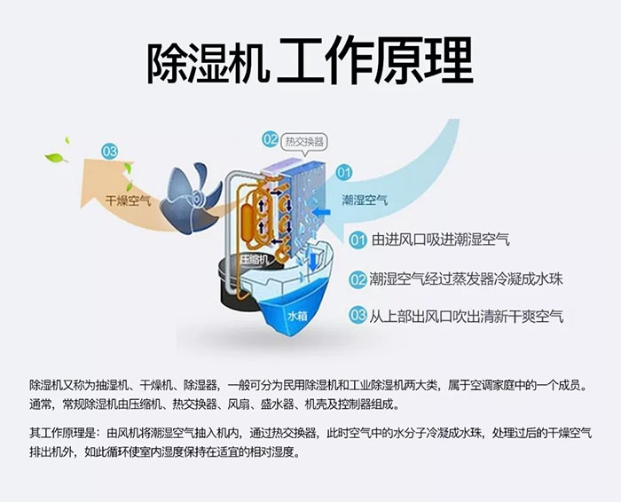 什么品牌除濕機好？買除濕機前先來看看