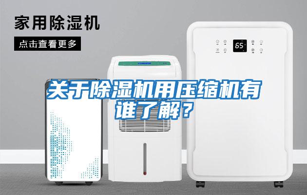 關(guān)于除濕機用壓縮機有誰了解？