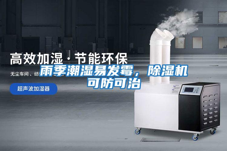 雨季潮濕易發(fā)霉，除濕機(jī)可防可治