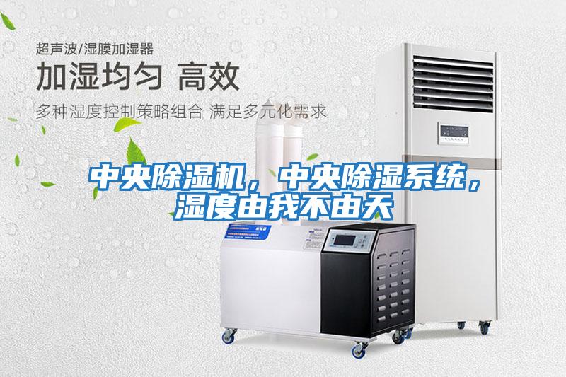 中央除濕機，中央除濕系統(tǒng)，濕度由我不由天