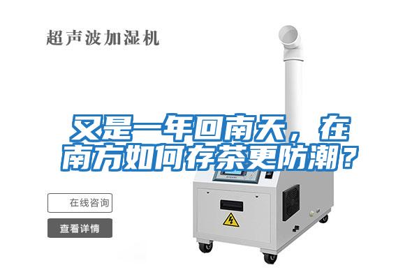 又是一年回南天，在南方如何存茶更防潮？