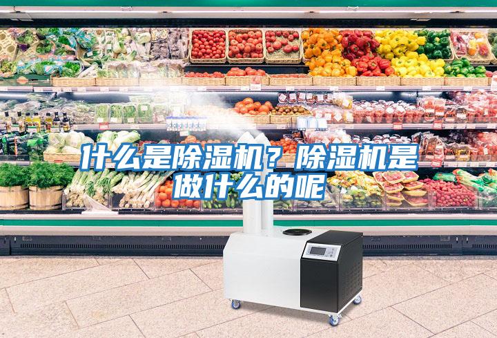 什么是除濕機(jī)？除濕機(jī)是做什么的呢