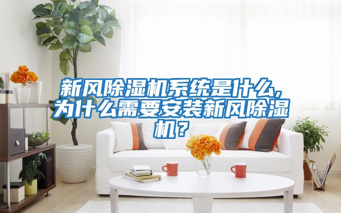 新風除濕機系統是什么,為什么需要安裝新風除濕機？