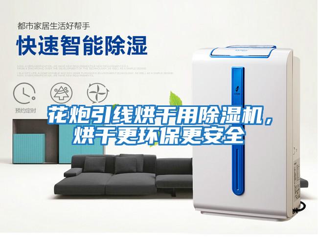 花炮引線烘干用除濕機，烘干更環(huán)保更安全
