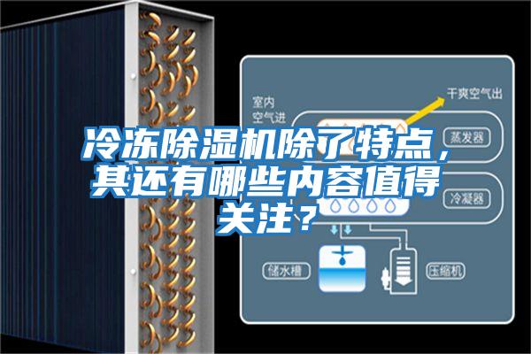 冷凍除濕機除了特點，其還有哪些內容值得關注？