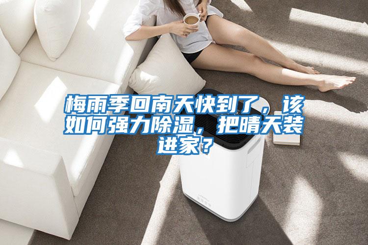 梅雨季回南天快到了，該如何強力除濕，把晴天裝進家？