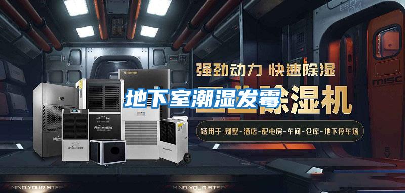 地下室潮濕發霉